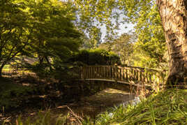 le petit pont de bois 2