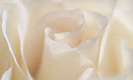 Onirique: