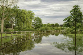 Que d'eau, que d'eau !