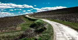 Chemin des vignes