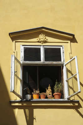 Fenêtre sur............