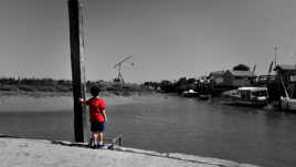 Tant à découvrir...