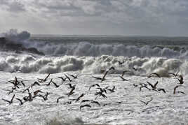 Sauve qui peut et chacun pour soi