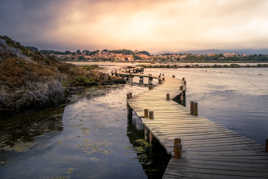 Que la lumière soit