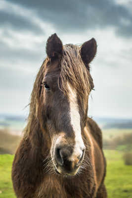 Il me regarde de travers