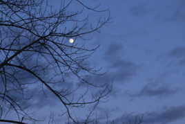 Lune à l'heure bleue