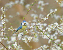 Quelques jours d'avance (2).
