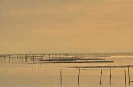 Lever du soleil sur le bassin