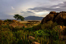 Magnifique Ngorongoro