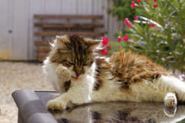 Cause toujours, tu m’intéresse....