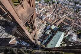 les hauts de Strasbourg