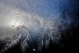 Surprise de l'hiver!