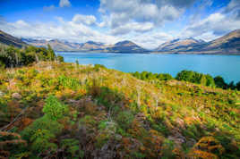 Wakatipu