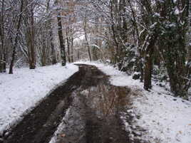 Derriere chez moi...