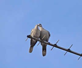 Et si on éteignait la télé...