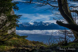 Un échappatoire au dessus des nuages ..