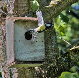 Vol de ravitaillement
