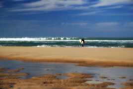 J'attends la nouvelle vague!