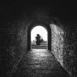 Un arbre au bout du tunnel
