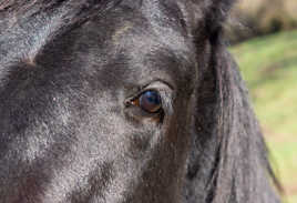 Il m'a tapé dans l'oeil