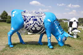 Les vaches sur les bords de l'Allier a Moulins