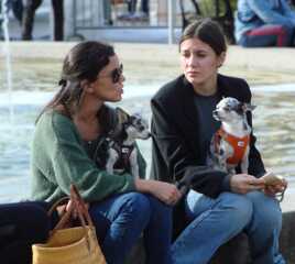 Confidences, ressemblances