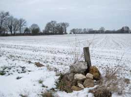 Champ sous la neige