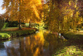 bord de l eau en automne