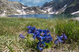 Merveilles du Mercantour