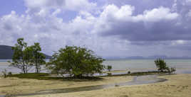 De l'eau, la vie ...