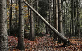 Baissez la tête ...