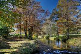 Paysage d'automne