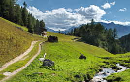 C'est un trou de verdure où chante une rivière