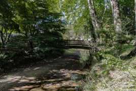 le petit pont de bois