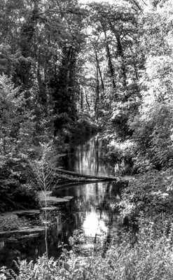 Ballade au bord du RHONE