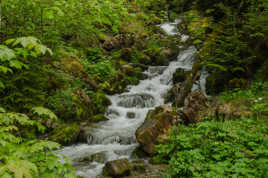 Cascade de printemps