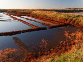 Couchant sur les salines