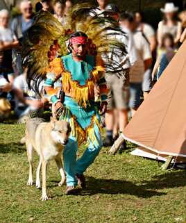 L'Indien et le loup