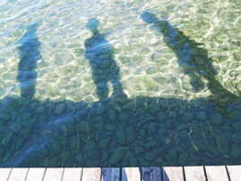 Silhouettes aquatiques