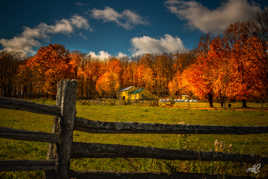 Cabane à sucre en automne