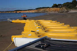 L'armada en jaune