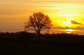 Coucher de soleil en Thiérache