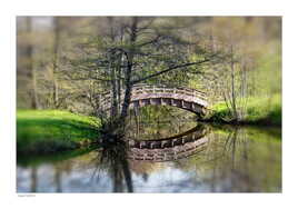 Le petit pont de bois !