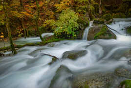 Torrent d automne