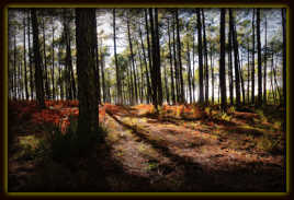 Et si on arrêtait le temps ?