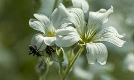 Tu vois quelque chose vlà dessous ?