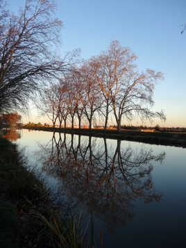 Canal du midi noel_2014