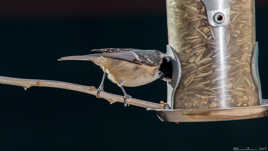 Je ne retrouve plus la mienne!!!