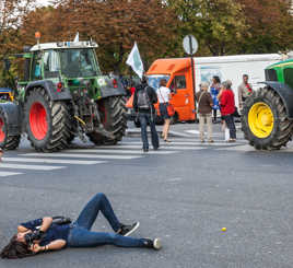 PHOTOGRAPHE SUR LE PAVE