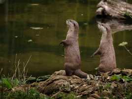 Y va nous l'filer son Popcorn !!!